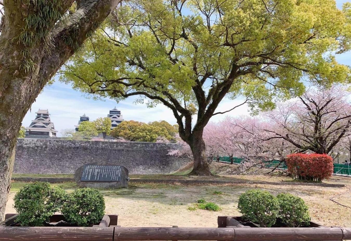 Chambord Kyomachi 102 - Vacation Stay 67038V Kumamoto Luaran gambar
